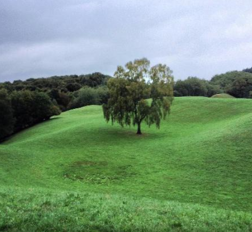 Sentiero del Castagno 1